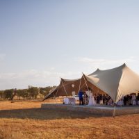 weddings